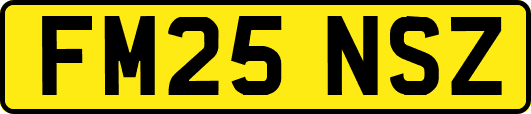 FM25NSZ
