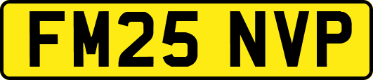 FM25NVP