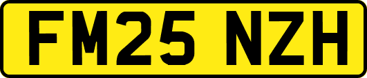 FM25NZH