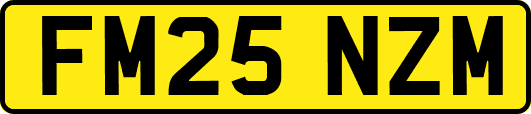 FM25NZM