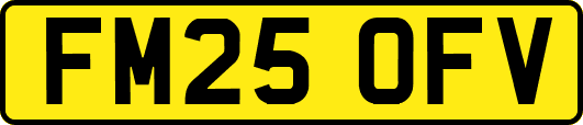 FM25OFV