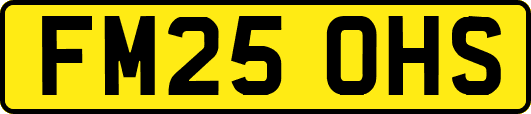 FM25OHS