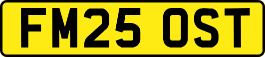 FM25OST