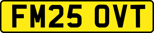 FM25OVT