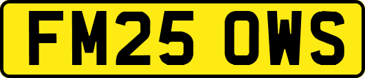 FM25OWS
