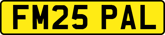 FM25PAL