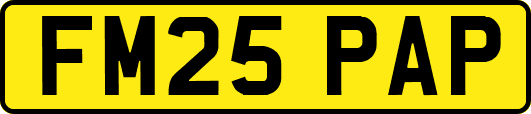 FM25PAP