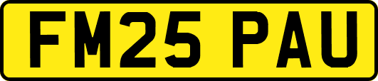 FM25PAU