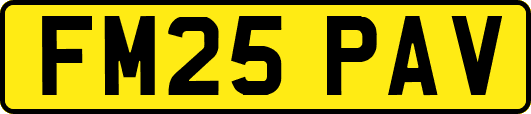 FM25PAV