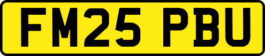 FM25PBU