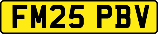 FM25PBV