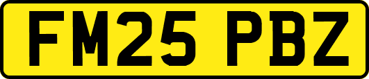 FM25PBZ