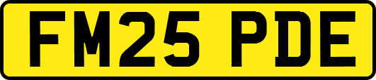 FM25PDE