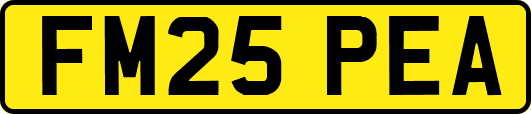 FM25PEA