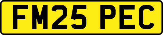 FM25PEC