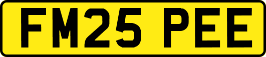 FM25PEE