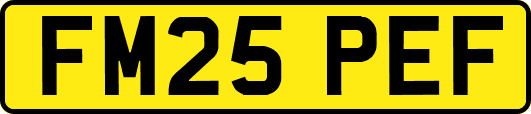 FM25PEF