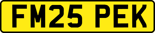 FM25PEK
