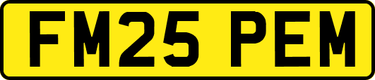 FM25PEM
