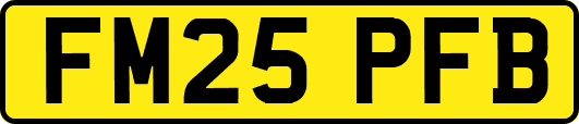 FM25PFB