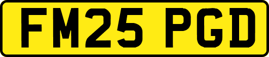 FM25PGD