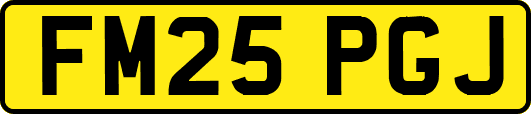 FM25PGJ