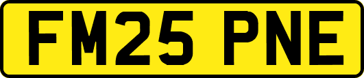FM25PNE
