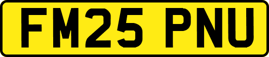 FM25PNU