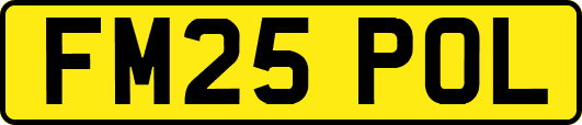 FM25POL