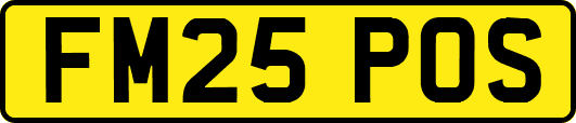 FM25POS