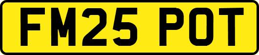 FM25POT