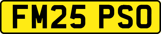 FM25PSO