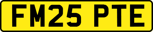 FM25PTE