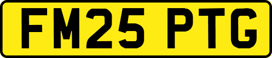 FM25PTG