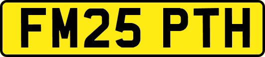 FM25PTH
