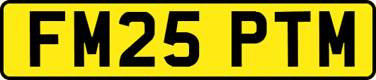 FM25PTM
