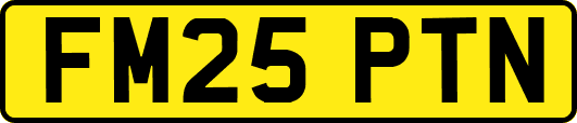 FM25PTN
