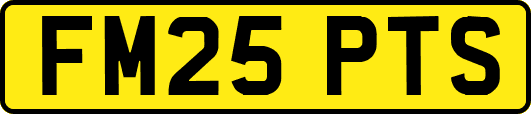 FM25PTS