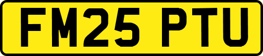 FM25PTU