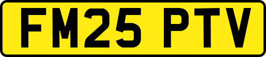FM25PTV