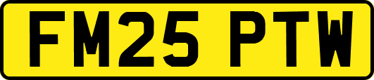 FM25PTW