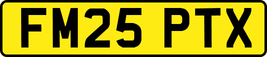 FM25PTX