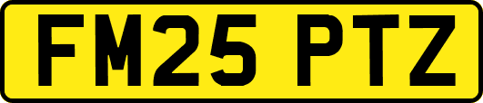 FM25PTZ