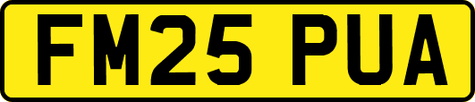 FM25PUA