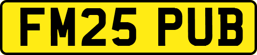 FM25PUB