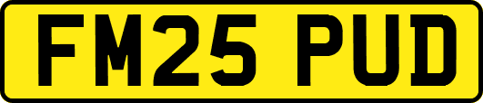 FM25PUD