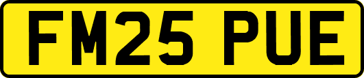 FM25PUE