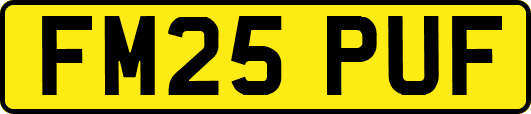 FM25PUF