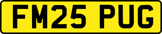 FM25PUG