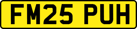 FM25PUH